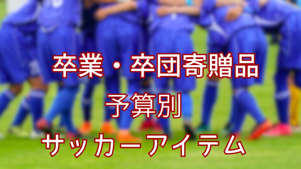 寄贈品サッカー